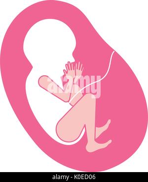 pink silhouette of side view fetus human growth in placenta ninth month Stock Vector