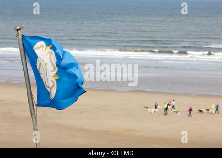 The White Rose of Yorkshire Flag over Filey Beach at Hunmanby Gap Stock Photo