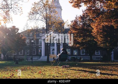 Students sit on lounge chairs studying in front of Gilman Hall on the leave-covered Keyser quadrangle on the Homewood campus of the Johns Hopkins University in Baltimore, Maryland, 2015. Courtesy Eric Chen. Stock Photo