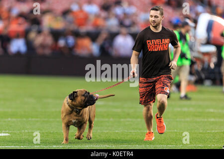 August 21, 2017: Cleveland Browns defensive back J.D. Harmon (41) during  the NFL football game between the New York Giants and the Cleveland Browns  at First Energy Stadium in Cleveland, Ohio. JP