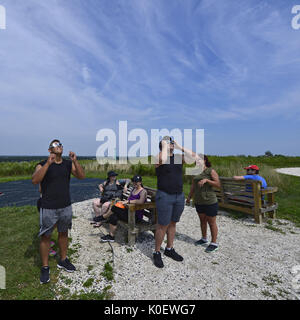 South Merrick, New York, USA. 21st Aug, 2017. Using solar glasses they borrowed, two young men frm Plainview, NY, are observing the early part of the partial Solar Eclilpse at Norman J Levy Park and Preserve. Many people who came to the hilltop marshland, which is the highest point on the South Shore of Long island, didn't have solar glasses, other other visitors, strangers, offered to share the special safety filter glasses during the 2 1/2 hours from the very start to end of the partial solar eclipse. Credit: Ann Parry/ZUMA Wire/Alamy Live News Stock Photo