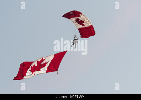 August 11, 2017 - Abbotsford, British Columbia, Canada - A member of the Canadian Armed Forces SkyHawk parachute team, displaying one of the team's signature Canadian flag parachutes, during the opening aerial display of the Abbotsford International Airshow, August 11, 2017. (Credit Image: © Bayne Stanley via ZUMA Wire) Stock Photo