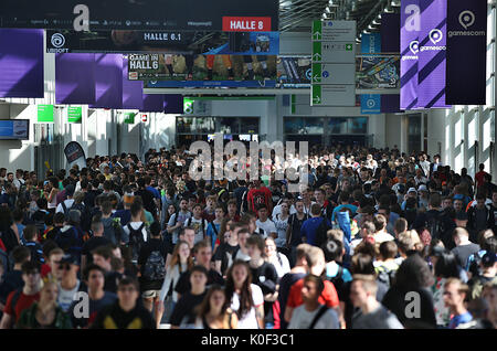 Cologne, Germany. 23rd Aug, 2017. Visitors to the Gamescom walking to the exhibition halls in Cologne, Germany, 23 August 2017. The computer games fair Gamescom takes place between 22 and 26 August 2017. Photo: Oliver Berg/dpa/Alamy Live News Stock Photo