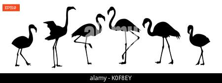 Set of silhouettes of bird flamingo in various poses vector illustration isolated on white Stock Vector