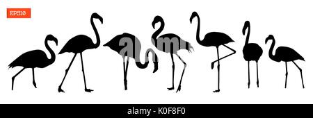 Set of silhouettes of bird flamingo in various poses vector illustration isolated on white Stock Vector