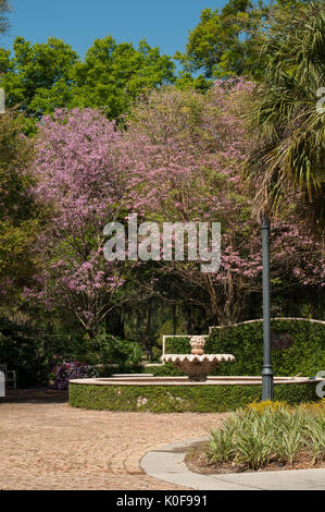 McKean Arboretum on Park Avenue,  Winter Park, Florida Stock Photo