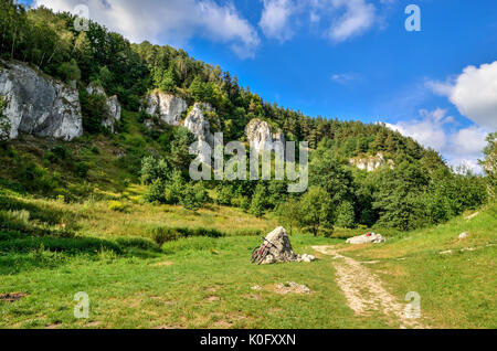 Sunny summer landscape. Beautiful green Jurassic valley in Poland. Stock Photo
