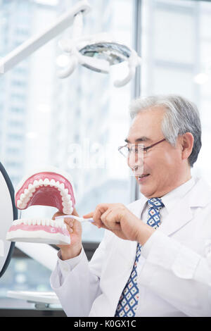 Portrait of smiling senior male dentist showing how to brush teeth correctly Stock Photo