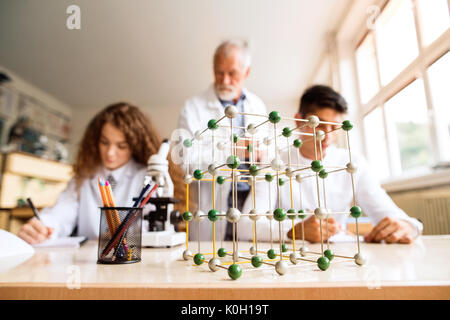 Senior teacher teaching biology to high school students in labor Stock Photo