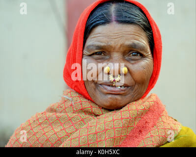 Elderly Indian Adivasi woman with two golden nose studs and gold-and-gemstone nose jewellery wears a red headscarf and smiles for the camera. Stock Photo