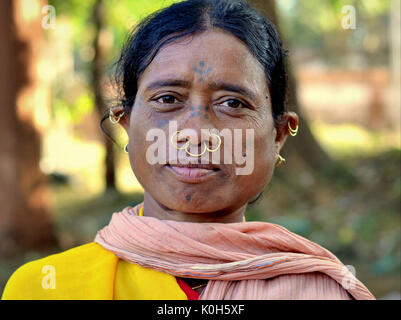 Indian Adivasi woman with facial tattoos, three golden nose rings and distinctive tribal earrings poses for the camera. Stock Photo