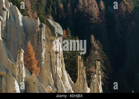 Perca/Percha, South Tyrol, Italy. The Earth Pyramids Stock Photo