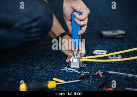 Worker connect a network cable with RJ45 sockets by punch-down tool, process of laying the local network Stock Photo