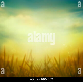 Spring grass. Blur background. Summer nature. Bokeh blurred background. Stock Photo
