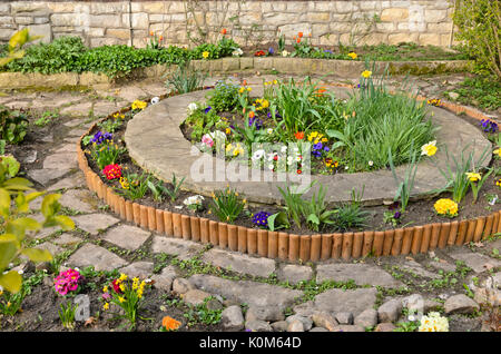 Violets (Viola), common daisy (Bellis), primroses (Primula) and tulips (Tulipa) in a round bed Stock Photo