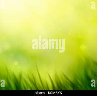 Spring grass. Blur background. Summer nature. Bokeh blurred background. Stock Photo