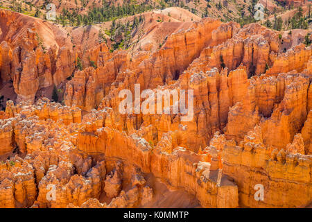 Along the Bryce Canyon National Park in Utah there are multiple lookouts and overlooks to see down into the canyon. Stock Photo