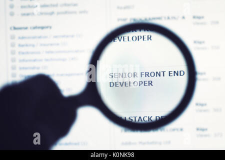 programmer searching new job on internet Stock Photo