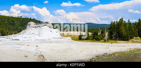 Landscape of Castle geyser, Yellowstone national park, USA Stock Photo