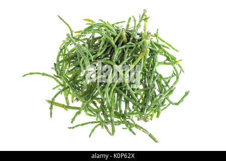 Samphire a coastal herb also known as sea beans sald of sallocornia Stock Photo