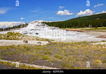 Castle Geyser, in Yellowstone National Park. Upper Geyser Basin Stock Photo