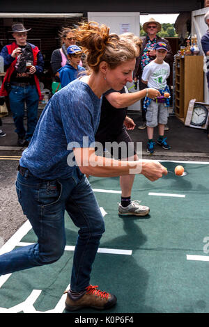 Local Women Take Part In A Traditional Egg and Spoon Race, The Annual South Street Sports Day and Dog Show, Lewes, East Sussex, UK Stock Photo