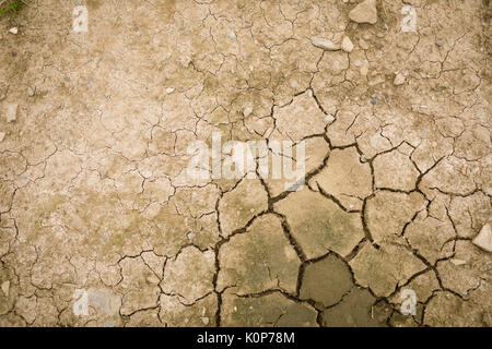 Close-up of land with dry and cracked ground Stock Photo
