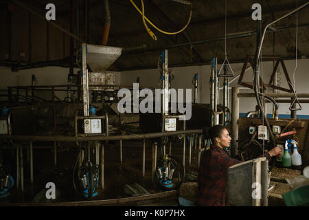 Attentive woman operating machine in barn Stock Photo
