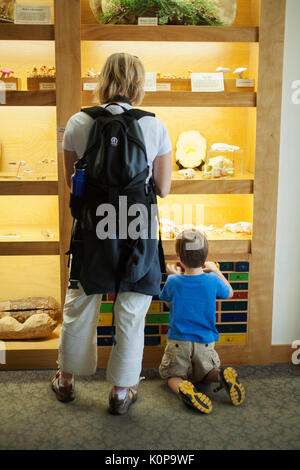 Visitors study exhibition hall and museum at the Wild Center at Tupper Lake in the Adirondacks of New York state. Stock Photo