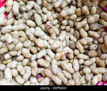Boiled peanuts pile in the plastic bucket for ready to sell in the market. Stock Photo