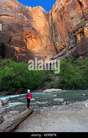 Virgin River Zion National Park Utah USA Stock Photo