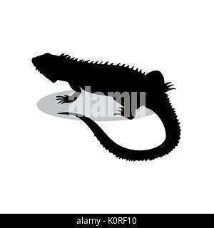 Iguana lizard reptile black silhouette animal. Vector Illustrator.	 Stock Vector