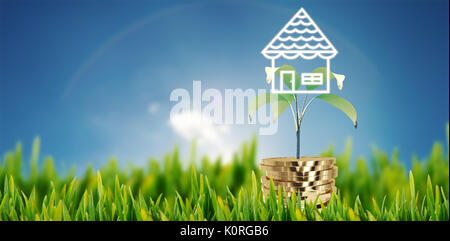 Grass growing outdoors against cloudy sky with sunshine Stock Photo