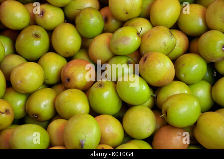 Ziziphus mauritiana, also known as Ber, Chinee Apple, Jujube, Indian plum and Masau is a tropical fruit tree species Stock Photo