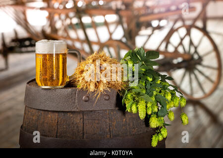 Glass of Beer with Barley and Hops in the Old Barn. Stock Photo