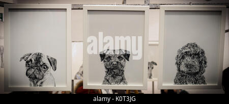 Three framed black and white drawings of puppies. Landscape format. Stock Photo