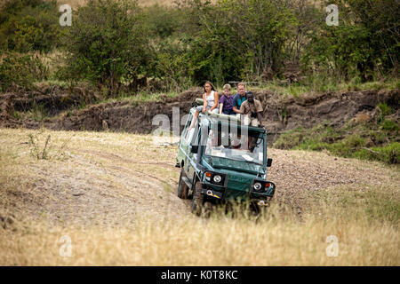 Tour truck filled with tourists driving through the Masai Mara in search of the big 5 game. Stock Photo