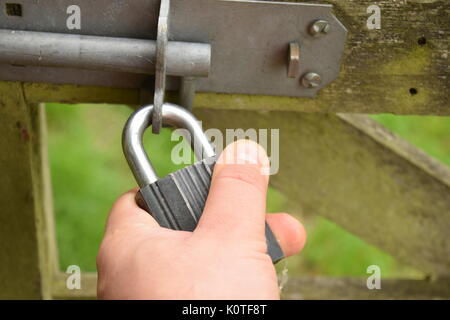 Metallic padlock on a wooden gate Stock Photo