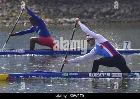 Czech MARTIN FUKSA (right) and Brazilianl ISAQUIAS DOS SANTOS QUEIROZ  (left) in action during the 2017 ICF Canoe Sprint World Championships in Racice, Czech Republic, August 24, 2017. (CTK Photo/Roman Vondrous) Stock Photo