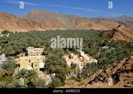 Birkat al Mawz oasis, Hajar al Gharbi mountains, Dakhiliyah, Oman Stock Photo