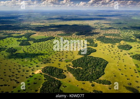 Natural pastures, Southern Pantanal, Mato Grosso do Sul, Brazil Stock Photo