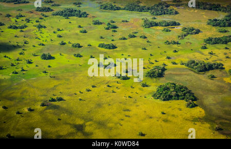 Natural pastures, Southern Pantanal, Mato Grosso do Sul, Brazil Stock Photo