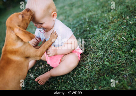Portrait of cute baby playing with dog Stock Photo