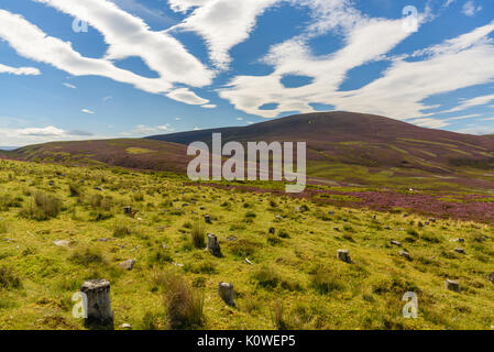 Scenic view of the beautiful nature of Cairgorms National Park in Scotland in summer Stock Photo