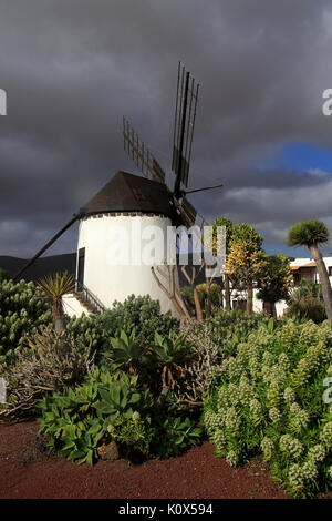 To be edited Windmill and garden at Centro de Artesania Molinos de Antigua, Fuerteventura, Canary Islands, Spain Stock Photo