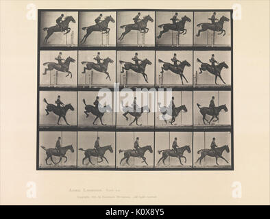 Animal Locomotion. An Electro Photographic Investigation of Consecutive Phases of Animal Movements. Commenced 1872   Completed 1885. Volume IX, Horses MET DP275263 Stock Photo