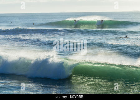 Surfer unidentified surfing catching ocean wave action photo Stock Photo