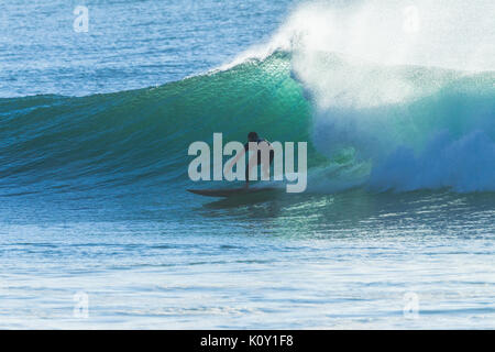 Surfer unidentified surfing catching ocean wave action photo Stock Photo