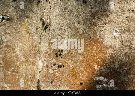 Old concrete multicolored backround or texture with vignette Stock Photo