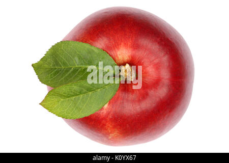 Nectarine fruit top view from above isolated on a white background Stock Photo
